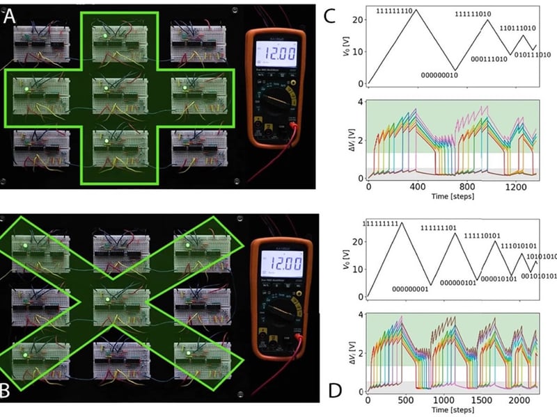 A nine-edge bistable circuit network displays two distinct memory patterns (“+” in c, “×” in d) under the same 12 V global drive; the right panels (e, f) track the drive history V₀ and the individual edge voltages ΔVᵢ, with binary labels marking the network state at each turning point
