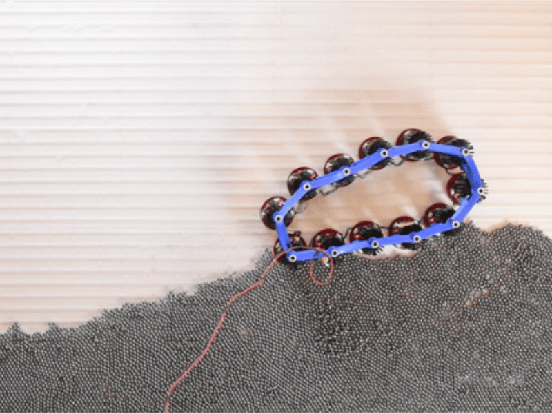 (a) Odd active solids exhibit adaptive locomotion on a granular terrain. When interacting with an external environment, chiral active solids spontaneously undergo limit cycles of shape changes, which naturally lead to locomotion such as rolling and crawling. The robustness of the locomotion is rooted in an emergent feedback loop between the active solid and the environment, which is mediated by odd elastic deformations and stresses. 