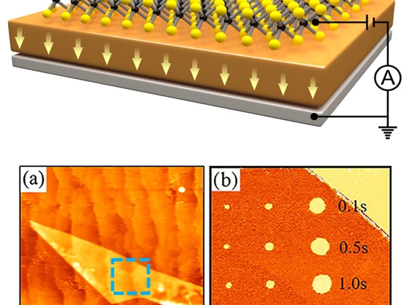 A hybrid MoS2/BaTiO3 ferroelectric tunnel junction showing (a) its nanoscale topography and (b) local polarization switching for different amplitude and duration of the applied voltage pulse.