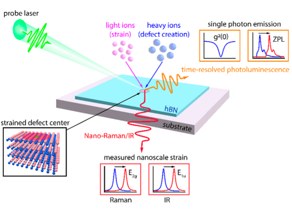 Understanding and Engineering Chemical Strain for Single-Photon Emission in hBN logo