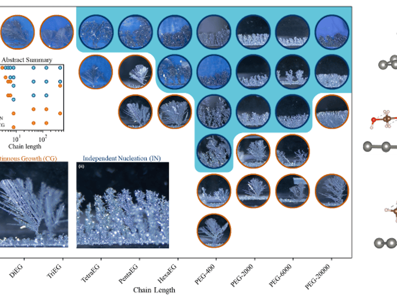 Zn dendrite growth mode is strongly controlled by both additive chain length and concentration. Operando images map a clear transition from continuous growth (CG), with a few fast, anisotropic dendrites, to independent nucleation (IN), with many smaller and less correlated crystallites. DFT simulations support this trend by showing that additive molecules can interact with Zn surface species at the interface, helping explain how molecular-scale adsorption influences macroscopic growth behavior under far-from-equilibrium conditions.