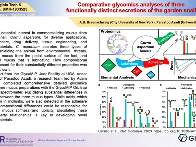 Comparative Glycomics Analyses of Three Functionally Distinct Secretions of the Garden Snail