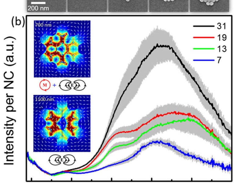 (a) Nanocrystal oligomers of increasing size.  (b) Optical scattering spectra for 7, 13, 19 and 31 member oligomers. Inset: Electromagnetic simulation of a 13 member oligomer.