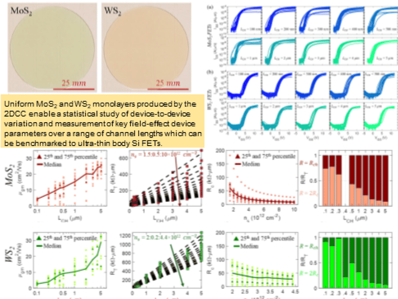 Benchmarking monolayer MoS, and W, field-effect transistors