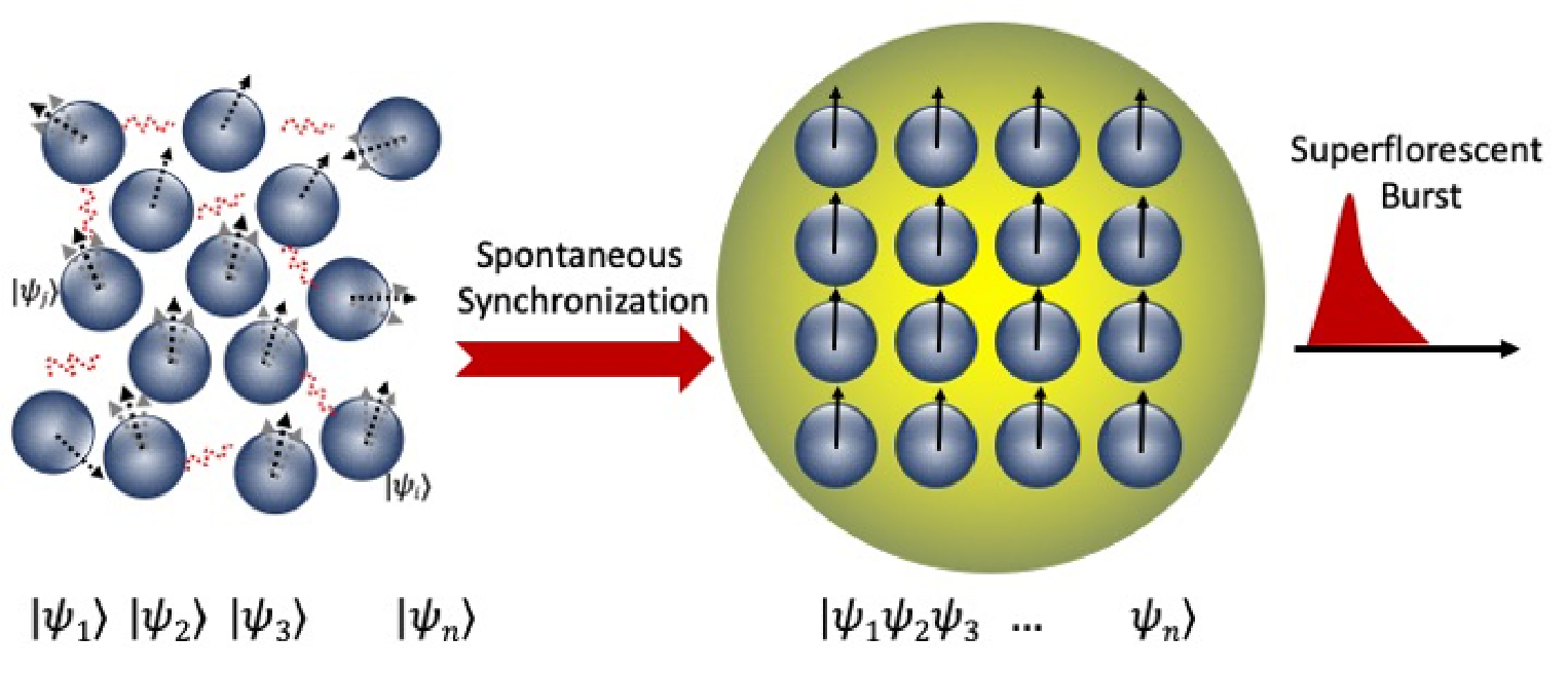 Graphical representation of superfluorescent evolution. An incoherent ensemble of dipoles is shown on the left. Arrows indicate the randomly distributed phases of individual dipoles. The red waves resemble vacuum fluctuations, which lead to spontaneous synchronization. After a time delay, the phases of the excited dipoles are locked, forming a macroscopic quantum coherent state: a ‘giant atom’ (on the right). This macroscopic state interacts with the radiation field collectively. The system is then described as a single wavefunction of indistinguishable particles. The collective emission of the macroscopic coherent system leads to a superfluorescent burst.