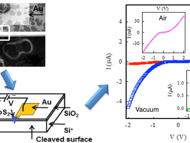 Ultraviolet Tunable MoS2/p-Silicon Junction Diode