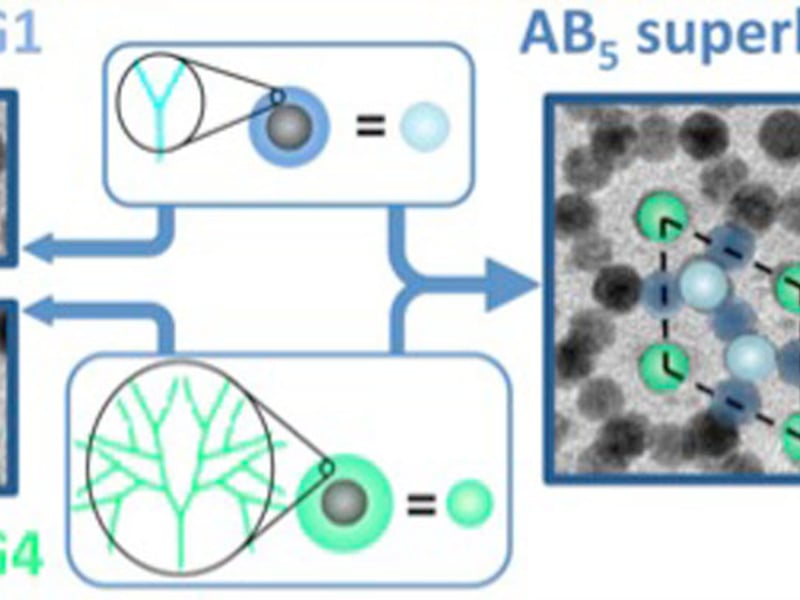 Unprecedented arrangements are possible by incorporating nanocrystals in building blocks that include different length dendrimers.  Here, building blocks with first (G1) and fourth (G4) generation dendrimer ligands (center) are combined and form complex unit cells (right). Single-component superlattices (left) reveal the effective radius of these new building blocks.