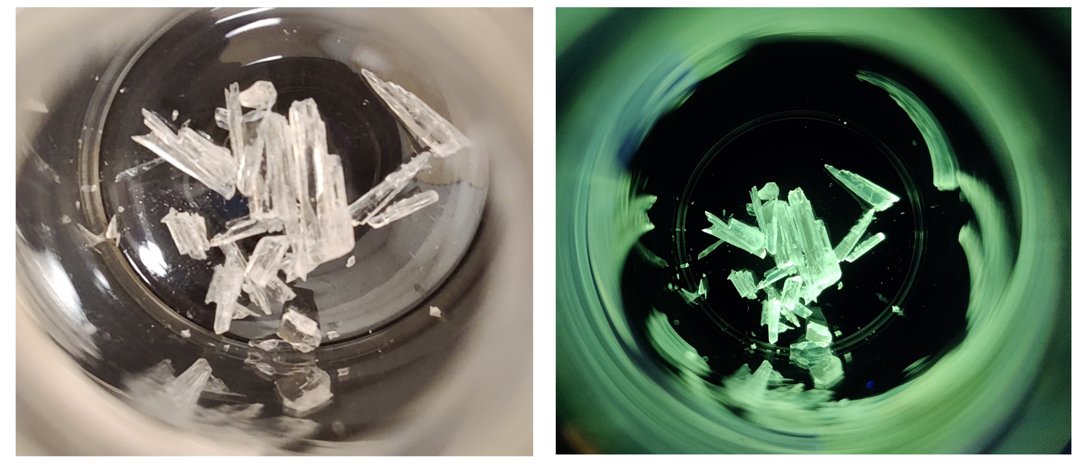 Dilruba synthesized cm size large crystals of an ultrabright greenish white emitter, 2022