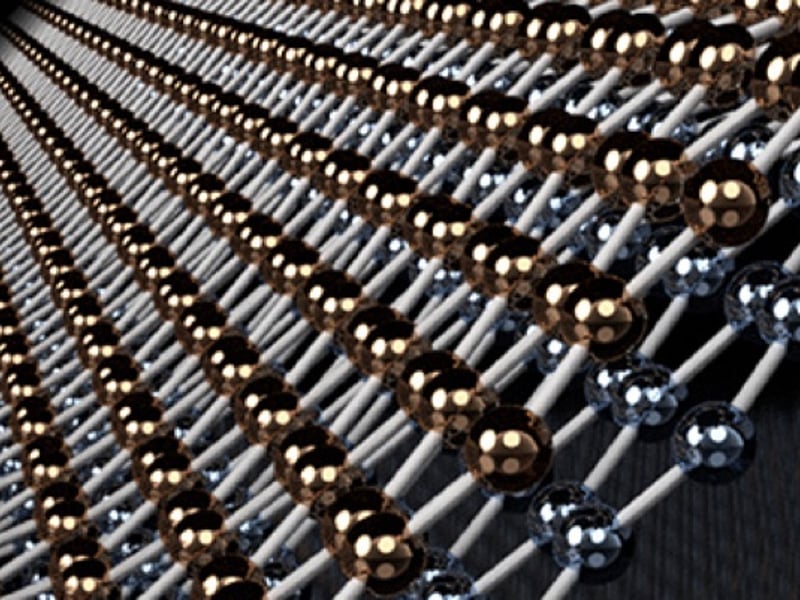 Graphic courtesy Blanka Janicek, Pinshane Huang Lab