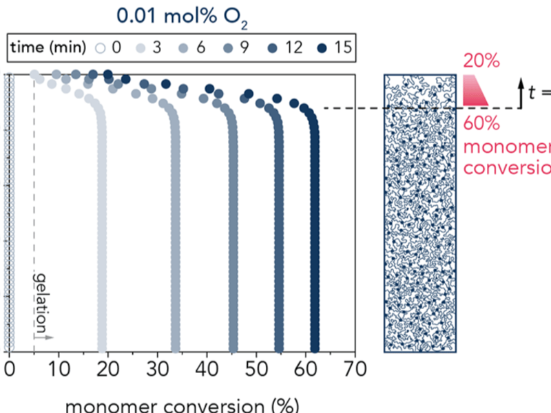Monomer conversion at the surface of the gel at various polymerization times as a function of depth from the gel surface. Image source: Chau, Edwards, Helgeson, Pitenis