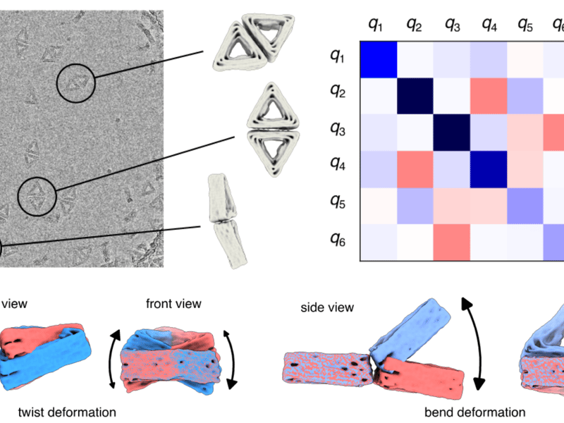 Measuring multisubunit mechanics of colloidal assemblies