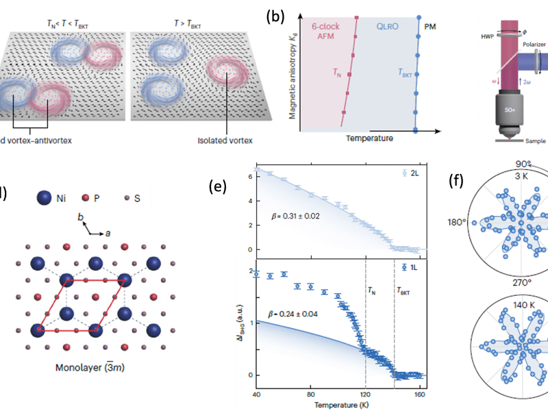 New phase in an atomically thin antiferromagnet