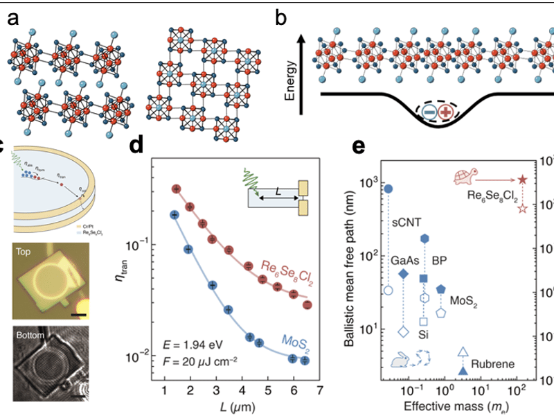 Ballistic photodetectors at room temperature from superatomic polarons