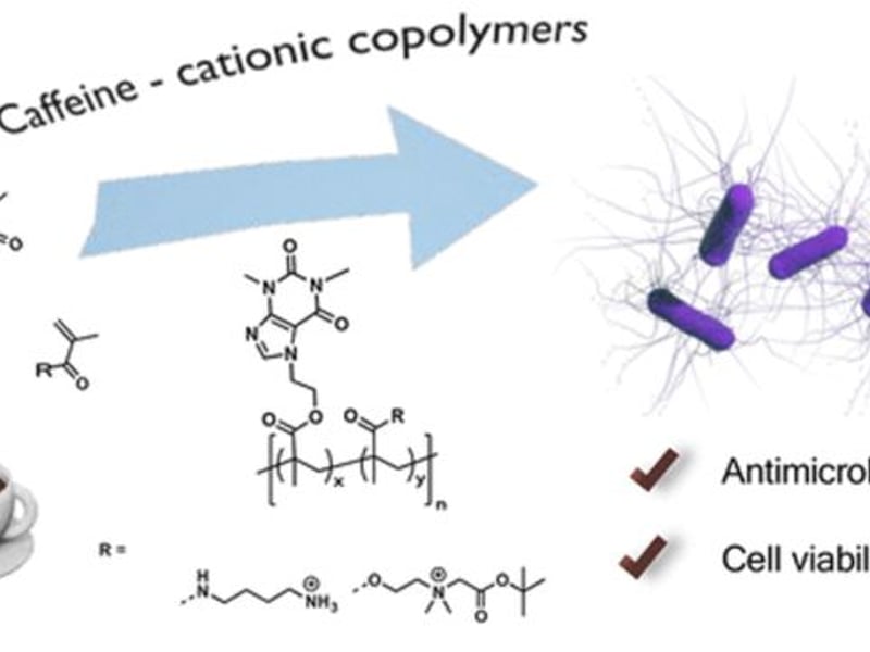 Preparation of caffeine–cationic copolymers displaying antibacterial properties and low cell viability in fibroblasts.