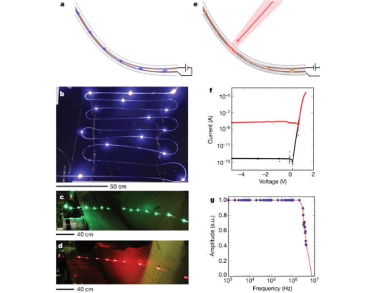 (a) Schematic of the light-emitting fiber. Wires (orange) are connected to the LEDs (purple). Photograph of light-emitting fibers containing (b) InGaN blue-colour LEDs, (c) InGaN green LEDs, (d) AlGaAsP red LEDs.  (e) Schematic of the photodetecting fiber structure, where an individual photodiode (orange) detects external light (red arrow). (f) Current–voltage curve of photodetecting fiber, showing clear rectifying behaviour. Black curve: in darkness. Red curve: under illumination. (g) Bandwidth of the photodetecting fibre. The 3 dB bandwidth achieved is around 3 MHz. a.u., arbitrary units.