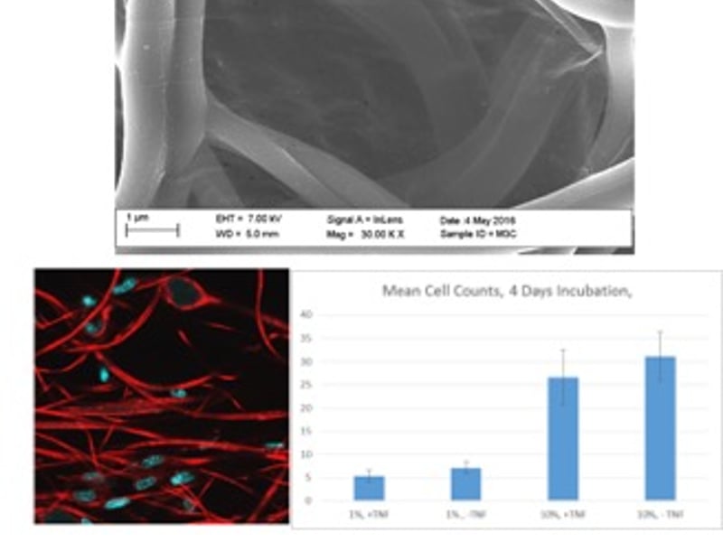 UTRGV-UMN Partnership for Fostering Innovation by Bridging Excellence in Research and Student Success
