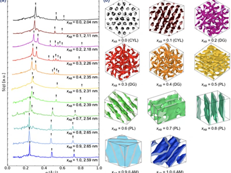 Z. Shen, K. Luo, S. J. Park, D. Li, M. Mahanthappa, F. S. Bates, K. D. Dorfman, T. P. Lodge & J. I. Siepmann, JACS Au (2022) submitted for publication