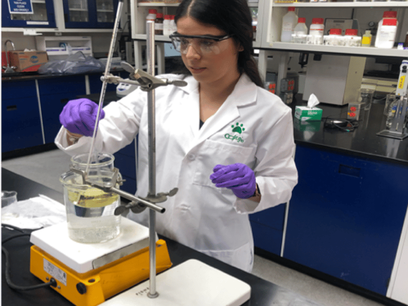 Cross-Cultural Connections:  An RET Site Program with UPRM and UW