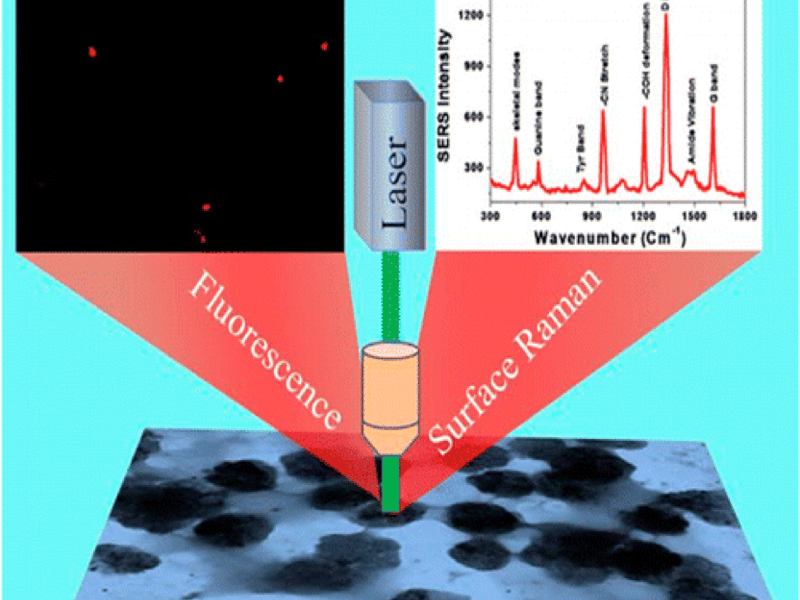 Plasmonic–Magnetic 3D Graphene Oxide ArchitectureCan Pick and Separate Rotavirus