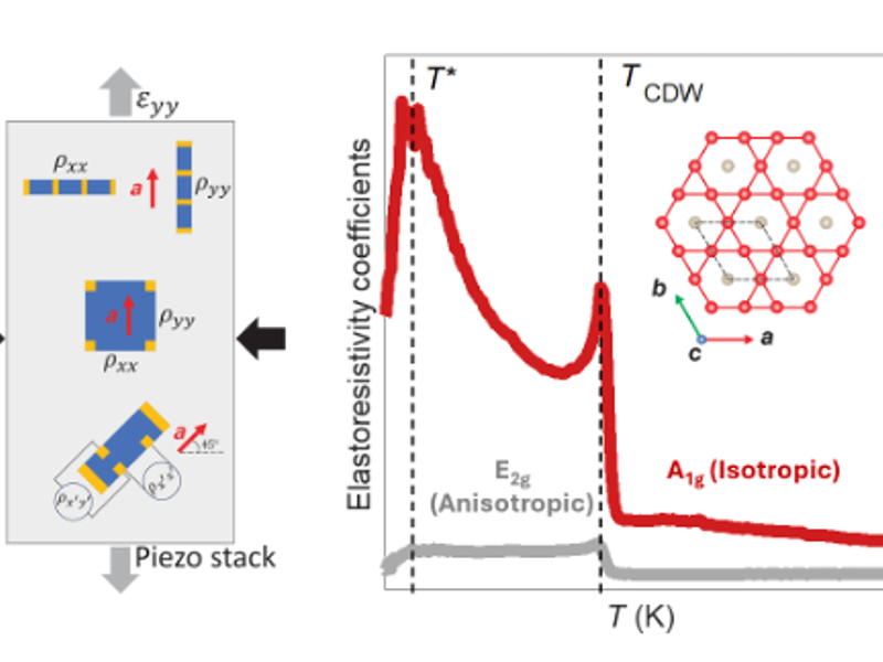 (Left) Schematic of three different elastoresistivity techniques. (Right) The temperature dependence of the elastoresistivity coefficients of CsV3Sb5. The A1g isotropic coefficient shows a diverging response, whereas the E2g anisotropic coefficient shows a weak and temperature independent response.