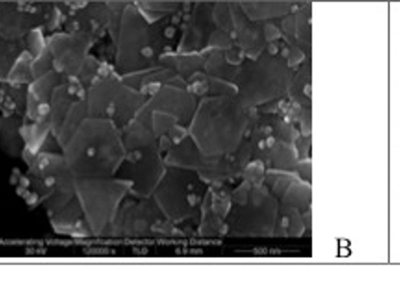 Development of chemical and biological sensors: Synthesis of Plasmonic Nanoparticles and Multispectral Imaging Nanostructures