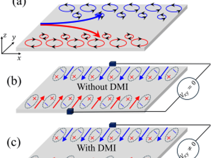 Magnon-Induced Electric Polarization and Magnon Nernst Effects