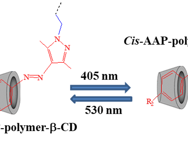 Development of Metal-ion Mediated Visible-Light Responsive Metallogels and Supramolecular Host-Guest Hydrogels
