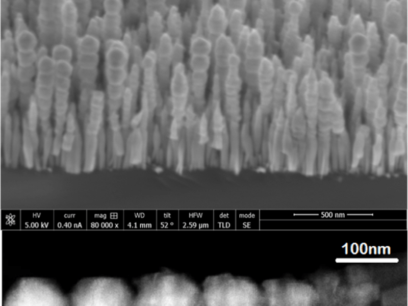 InN/GaN Dot-in-Nanowire Heterostructure Array Grown by MBE on (001) Silicon Substrate, schematic of the Device and TEM image of single Nanowire
