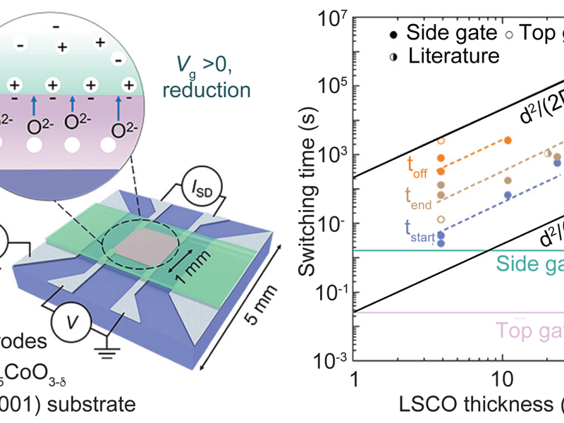 Pushing the Limits of Topotactic Transformation Speed  in Oxide Electrochemical Transistors