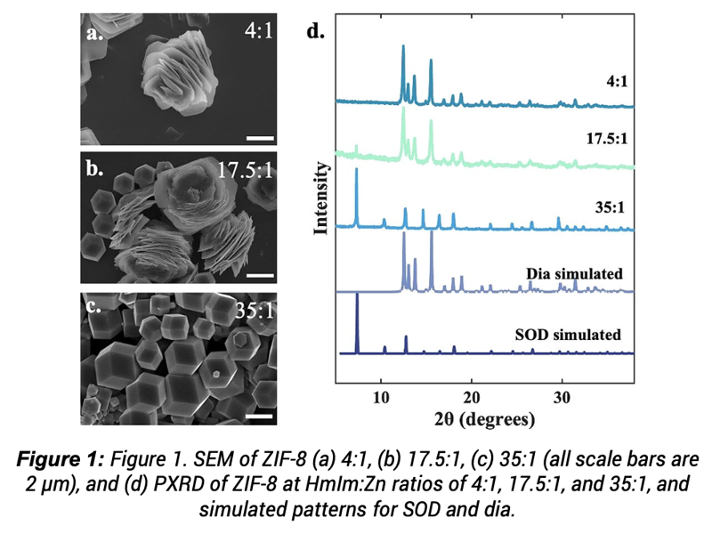 Understanding the Nucleation and Growth of ZIF-8 Polymorphs