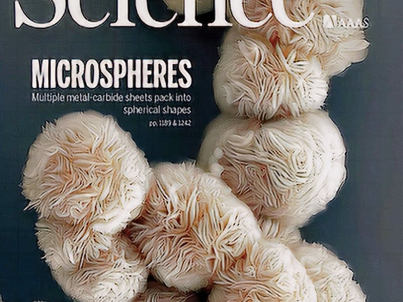 Cover image of MXenes