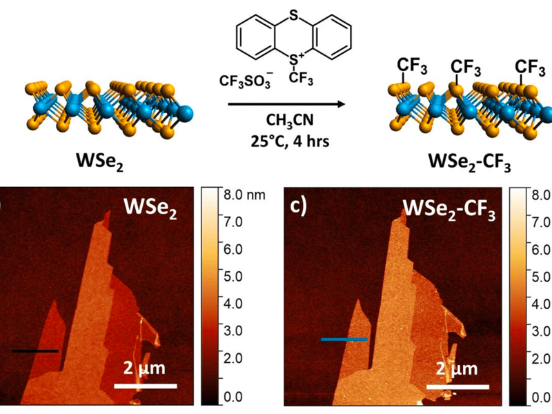 (a) Surface functionalization of 2D WSe2 with trifluoromethyl
groups is achieved using an electrophilic trifluoromethylation
reagent. (b,c) Atomic force microscopy images before and
after trifluoromethylation confirm uniform functionalization.