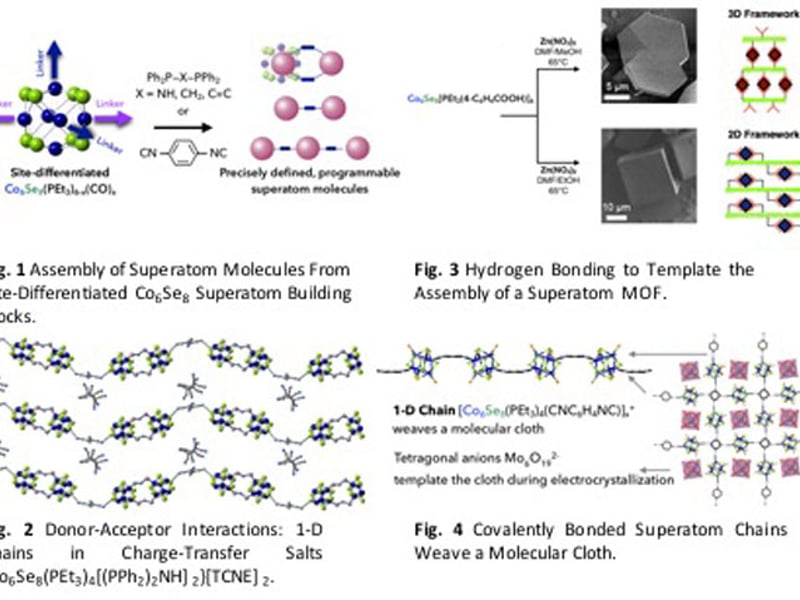 Reference 1: Champsaur, A. M.; Velian, A.; Paley, D. W.; Choi, B.; Roy, X.; Steigerwald, M. L.;  Nuckolls, C. Nano Lett. 2016, 16, 5273–5277