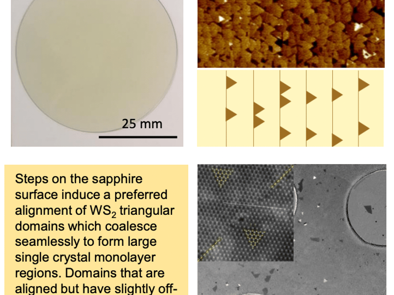 Wafer scale epitaxial growth of unidirectional WS2 monolayers on sapphire