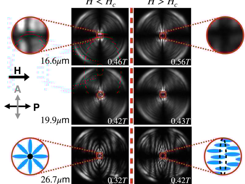 Polarized Optical Microscopy (POM) images of three nematic liquid crystal droplets (16.6, 19.9, and 26.7 μm in radius) reveal a configuration transition at a critical magnetic field. Before the transition, droplets exhibit a deformed radial state with a point defect. After the transition, droplets adopt an axial-with-defect state, featuring a ring defect. The transition is highlighted in a magnified red circle region. Simplified schematics illustrate the defect structures before and after the transition. The magnetic field strength for each frame and the orientation of the polarizer and analyzer are indicated in the images. The text in the bottom of each image indicates the field strength in Tesla.