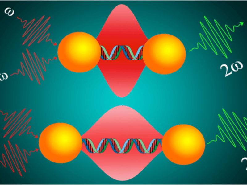 Nanomaterial Based  Long-Range Ruler Can Screen Prostate Tumor  