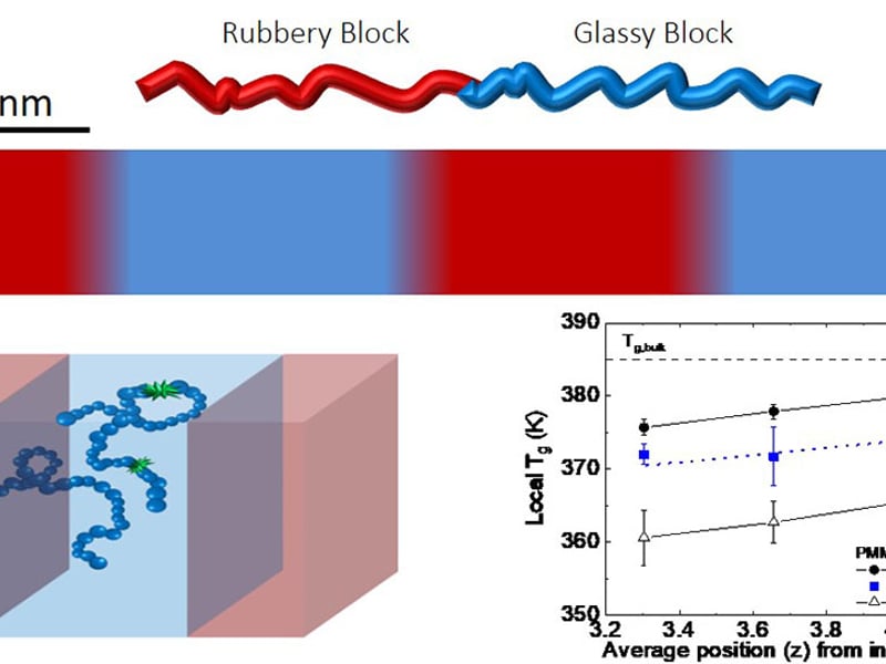 The Role of Chain Connectivity Across an Interface on the Dynamics of a Nanostructured Block Copolymer