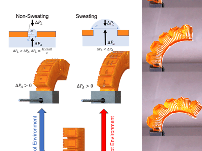 This project has developed finger-like 3D printed hydrogel actuators with autonomic perspiratioon, as shown in the top left image. Actuation is created by using a Polyacrylamide-based dorsal layer, and a Poly(N-isopropylacrylamide) finger. when the finger bends,  In the figures at bottom left, when body temperature is below 30 degrees C, 'skin' pores are closed and allow for mechanical actuation. When temperature rises above 30 degrees C, skin pores open, allowing localized perspiration and actuation simultaneously.
