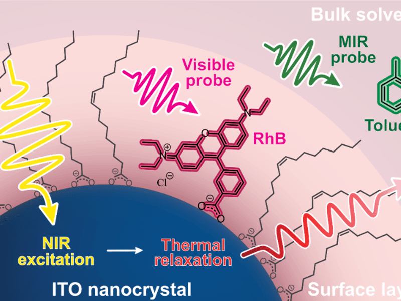 By exciting an ITO nanocrystal with near-infrared (NIR) light, we generate heat that can be passed from the nanocrystal to its environment. We have tracked this process using probes placed at a nanocrystal’s surface and in its surrounding solvent that show colorimetric changes on heating.
