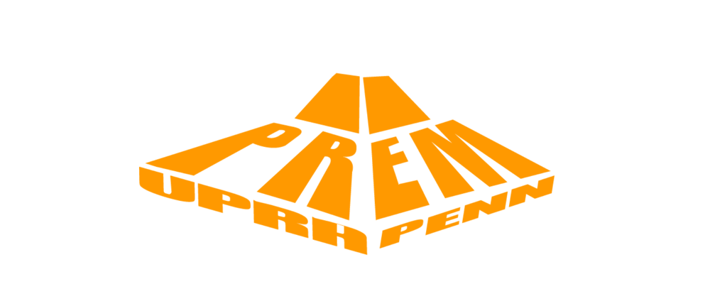 NSF PREM for Device Innovation through Integrative Research and Education