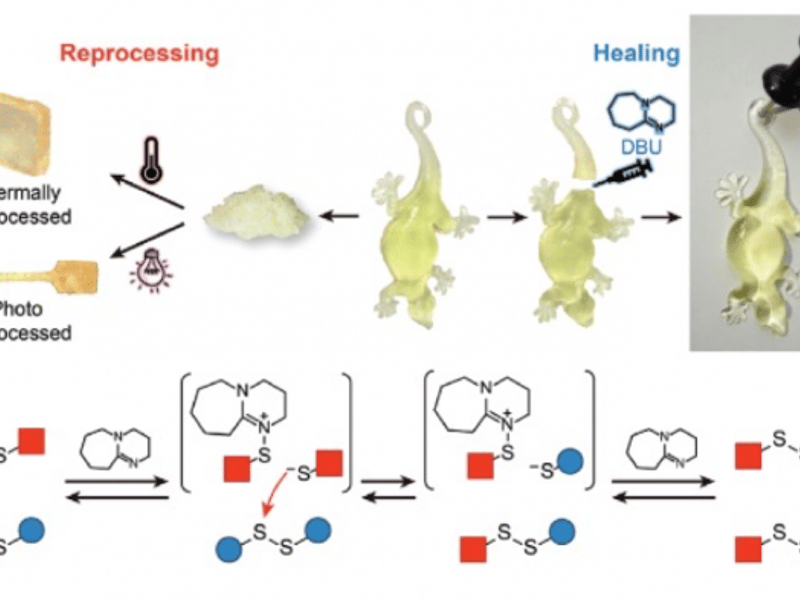 Digital Light Processing of Dynamic Bottlebrush Materials