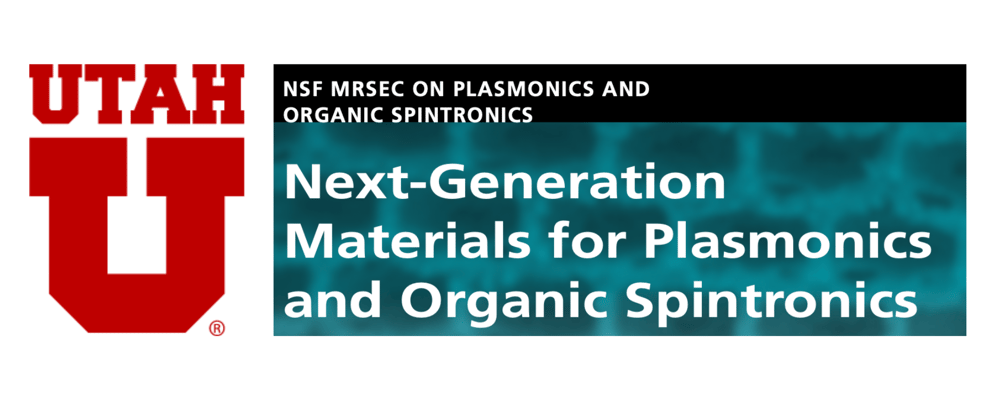 Next Generation Materials for Plasmonics and Organic Spintronics (2011)