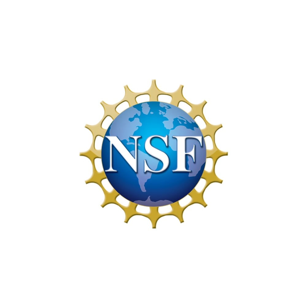 NSF Research Experiences for Undergraduates (REU)