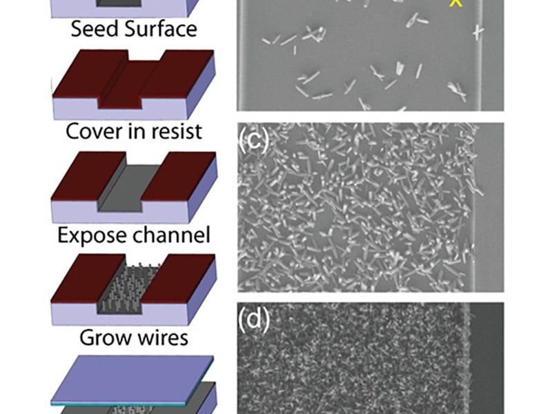 Method to fabricate ZnO nanowire matrices in a microfluidic channel. By controlling the seeding step, nanowire matrices of different densities are fabricated without using any nanopatterning steps.