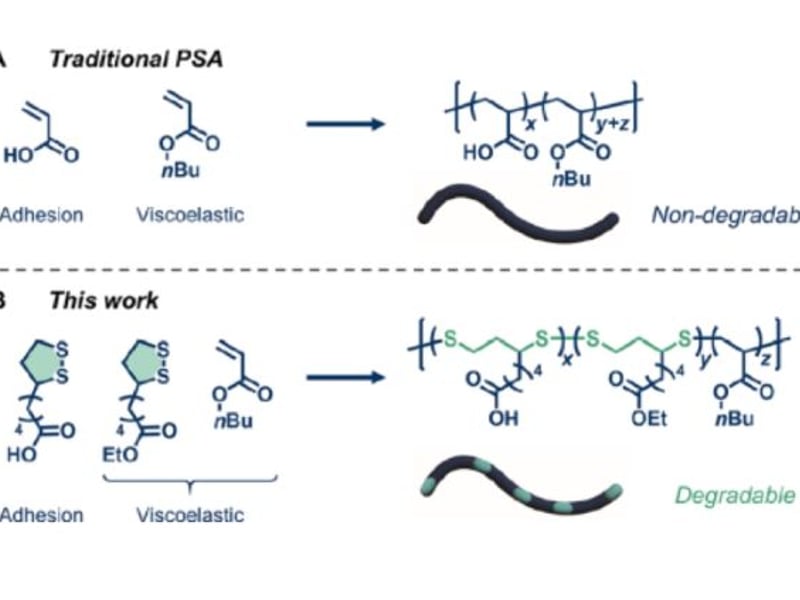 A) A conventional statistical acrylic PSA comprises n-butyl acrylate (∼97 mol %) and acrylic acid (∼3 mol %). (B) An analogous statistical degradable PSA with α-lipoic acid and ethyl lipoate as drop-in degradable monomers.