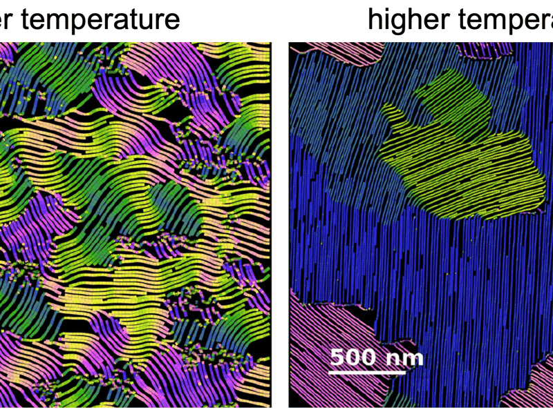 Visualizations of experimental data on molecular packing. The lines track the local molecular orientation. (left) Low temperature processing results in small regions of aligned molecules with high internal bending. (right) Heating by just 60 °C results in much larger aligned regions with much straighter internal structure.