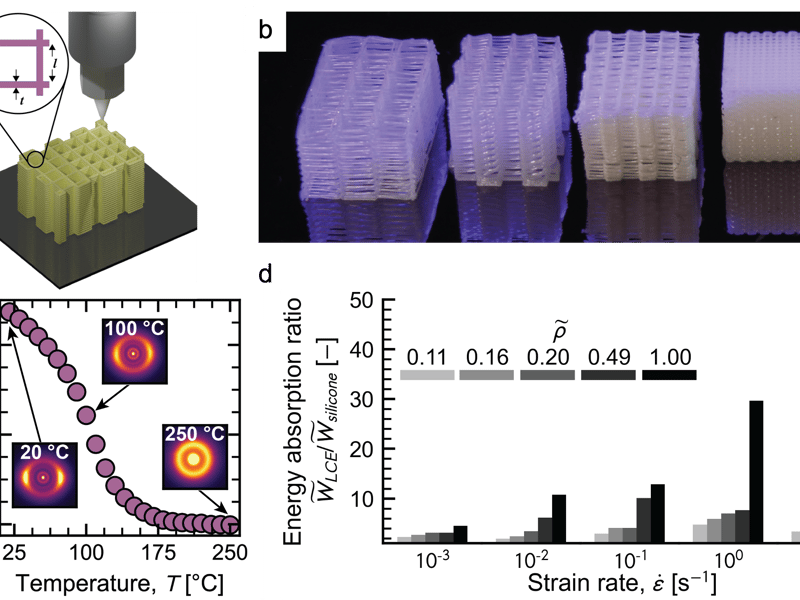 Architected Liquid Crystal Elastomer Lattices with Programmable Energy Absorption