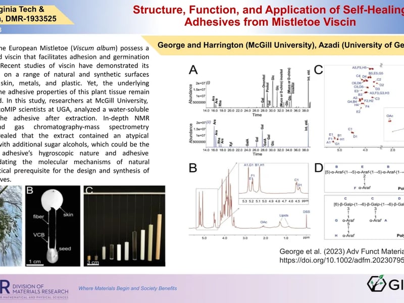 Structure, Function, and Application of Self-Healing Adhesives from Mistletoe Viscin