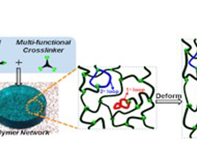 Figure: (A) Amorphous polymer networks inevitably possess topological “loop” defects whose impact on elasticity (stress vs. strain behavior of the bulk material) was unknown.