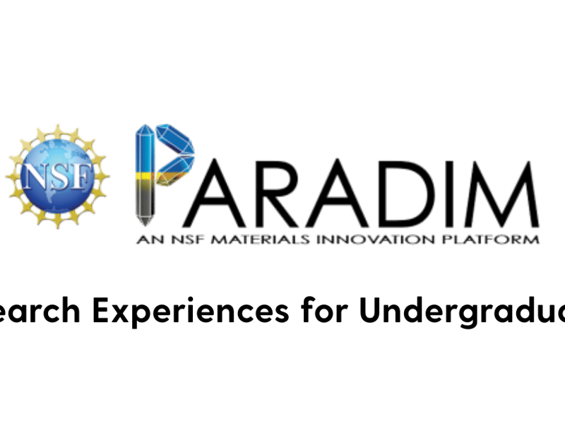 2024 PARADIM Summer Research Experiences for Undergraduates (REU) Program